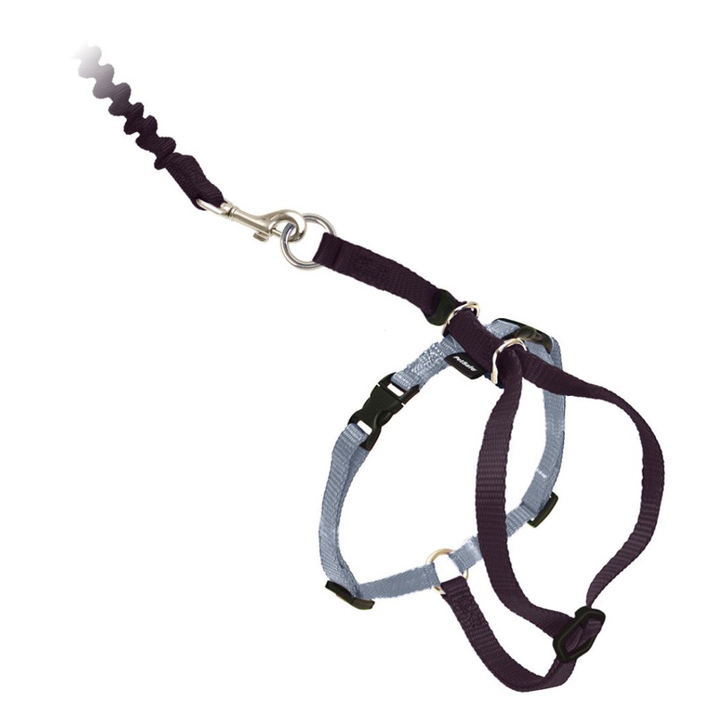 Come With Me Kitty Black Cat Harness & Bungee Leash Medium