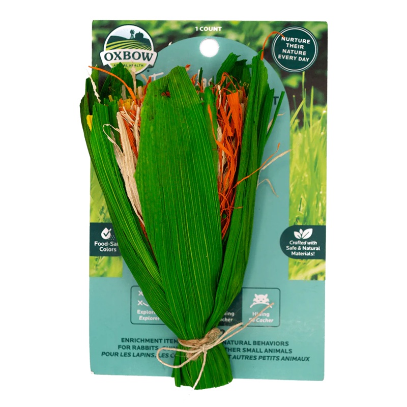 Oxbow Animal Health Enriched Life – Celebration Boquet