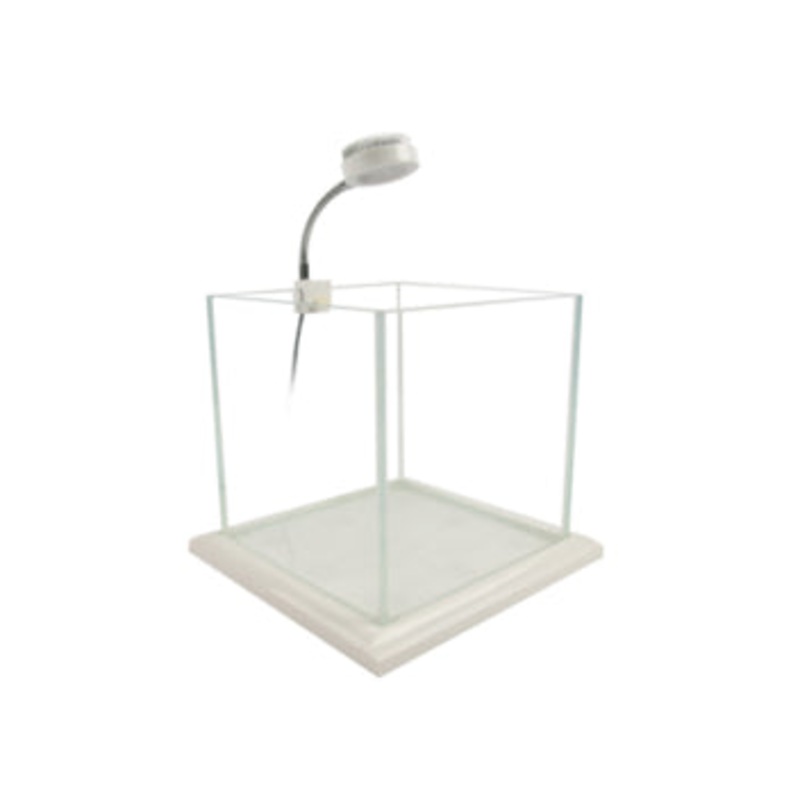 Zetlight Mini White/Blue 3w LED – 12000K