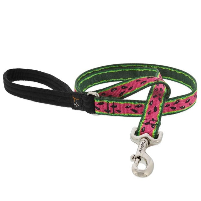 Lupine Dog Leash 3/4″ Wide X 6′ Watermelon