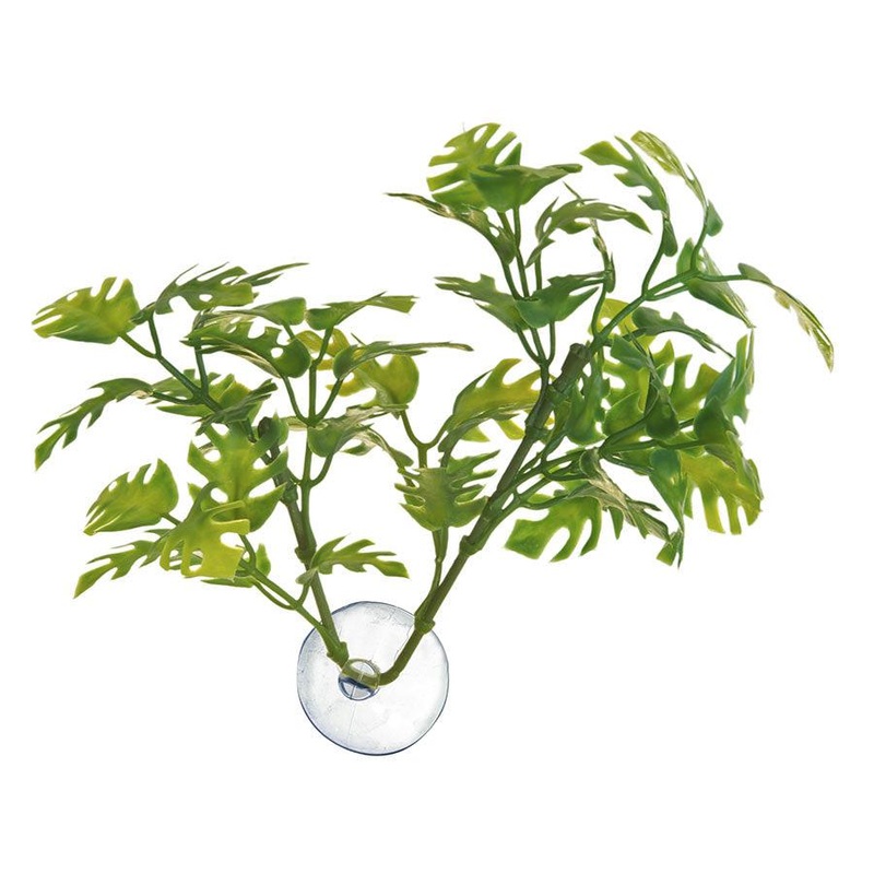 Zoo Med Bolivian Croton Large