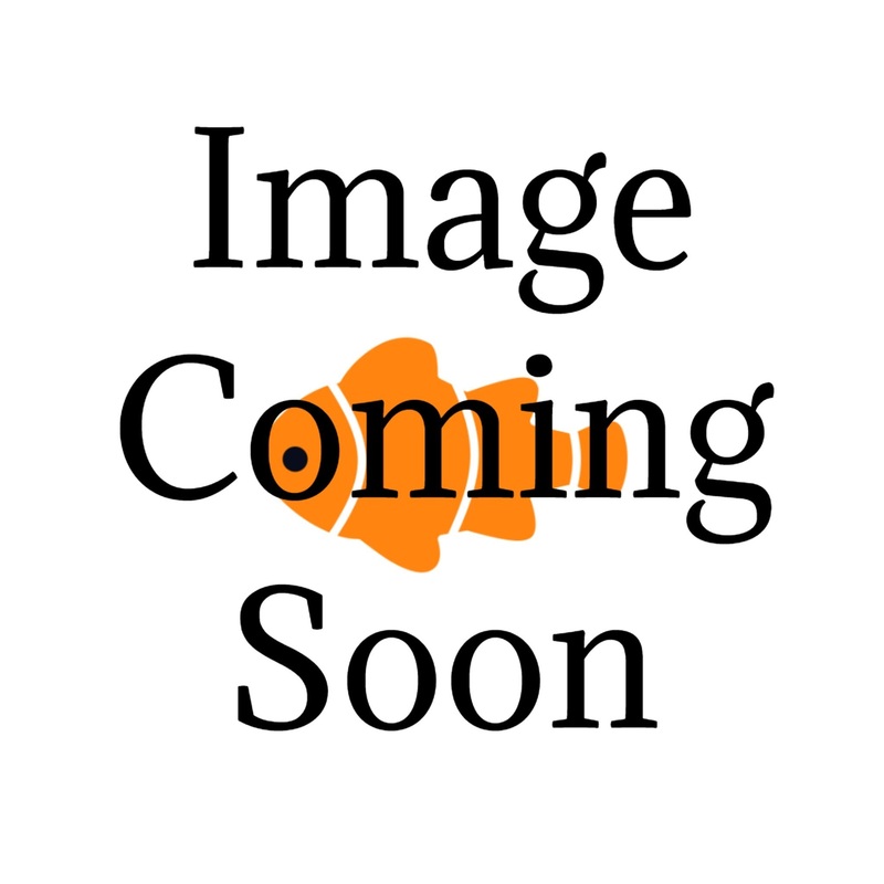 Easy Dechlorinator 8oz