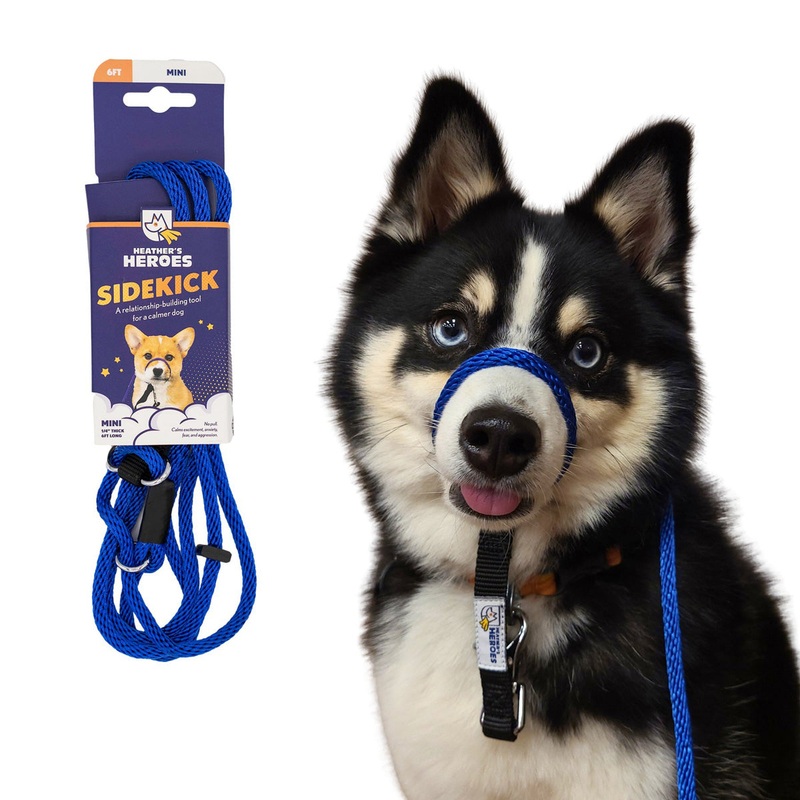 Heather’s Heroes Sidekick Mini Blue Dog Leash 1/4″ x 6′