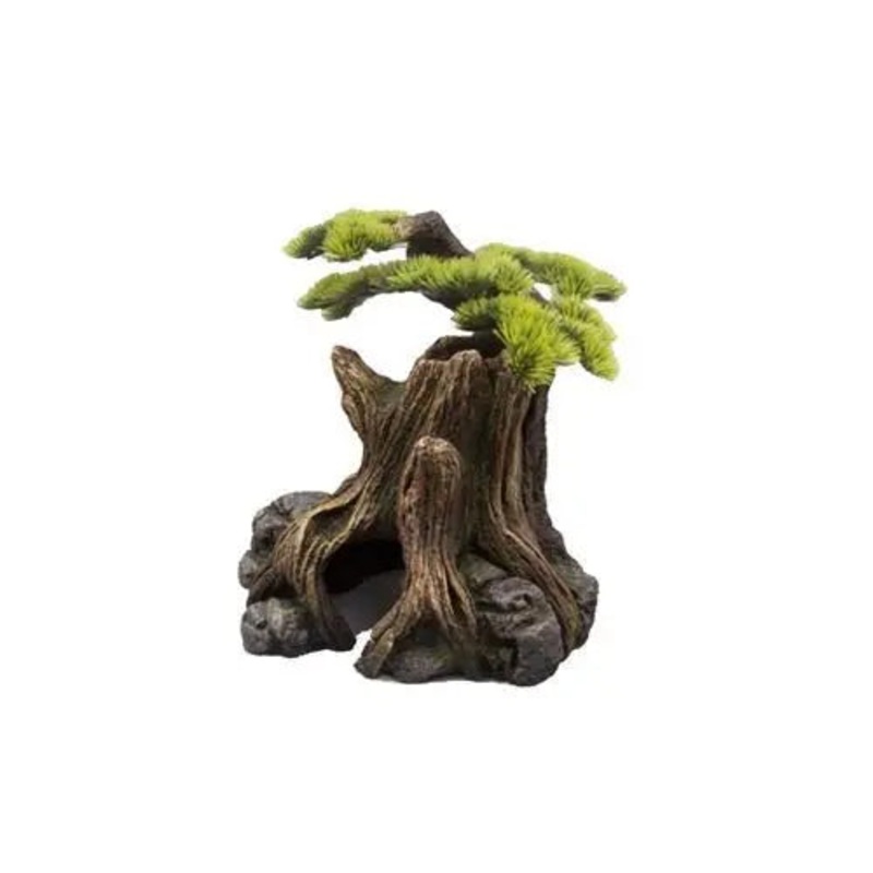 Bonsai Plant Large