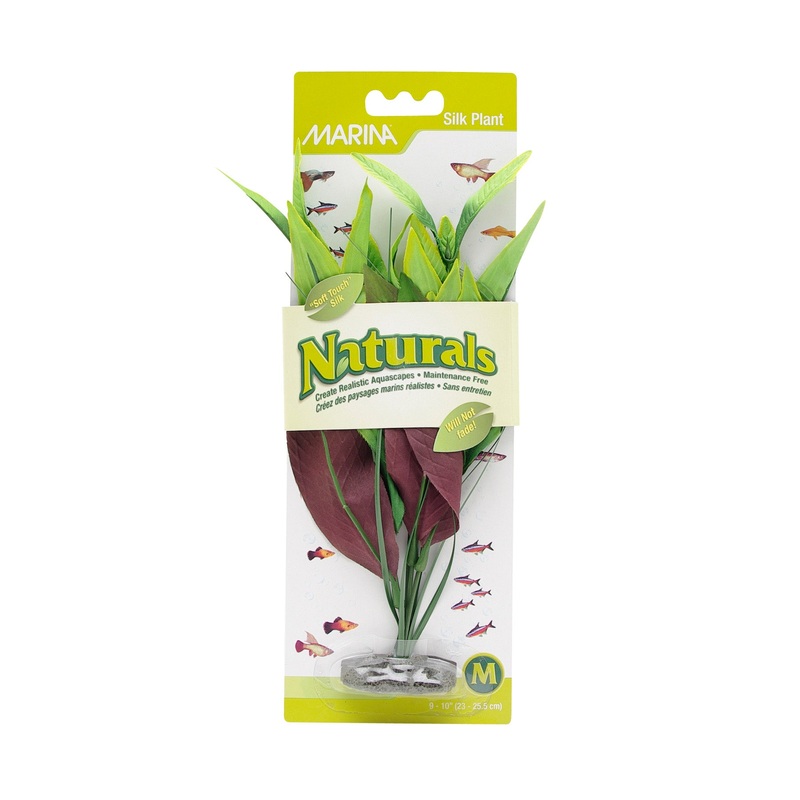 Marina Naturals Green Pickerel Silk Plant Medium