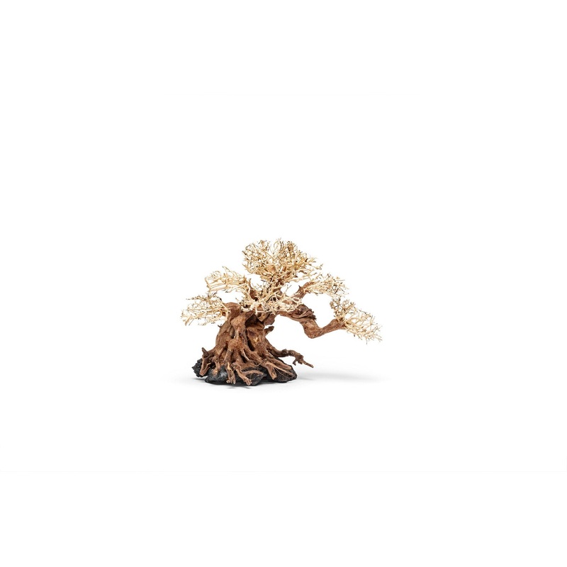 UNS Bonsai 014 I014-S