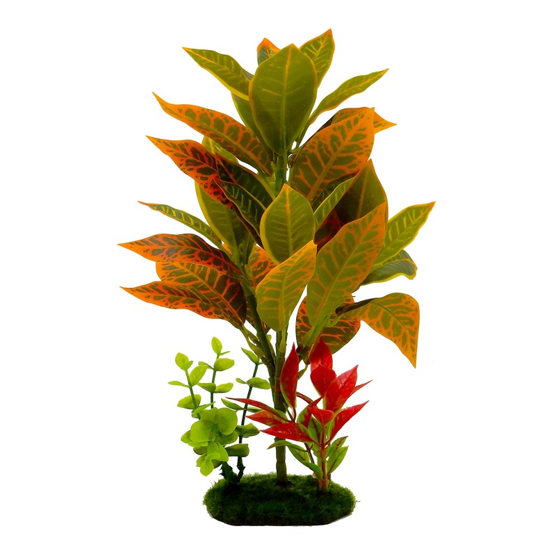 Blue Ribbon Pet Tropical Gardens Croton Petra Plant