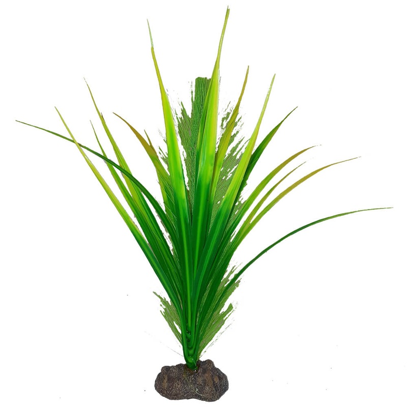 Fluval Betta Premium Yellow Parrot Plant, 8 / 20 cm