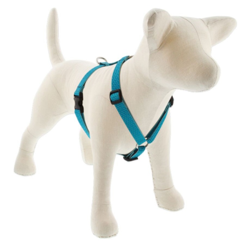 Lupine Eco Roman Dog Harness 1″ x 20″-32″ Tropical Sea