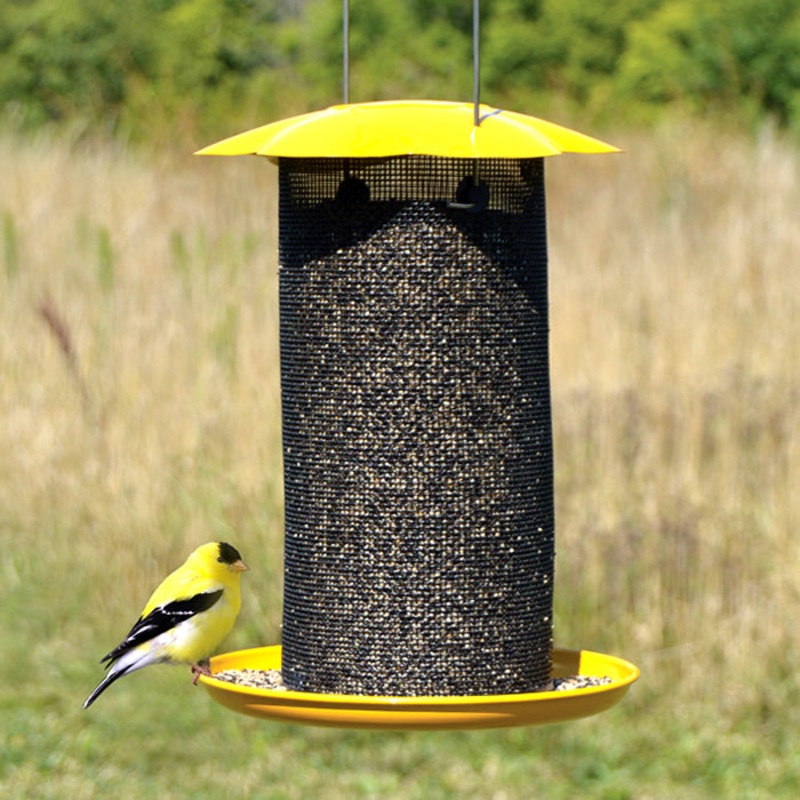 Mammoth Yellow Thistle Feeder