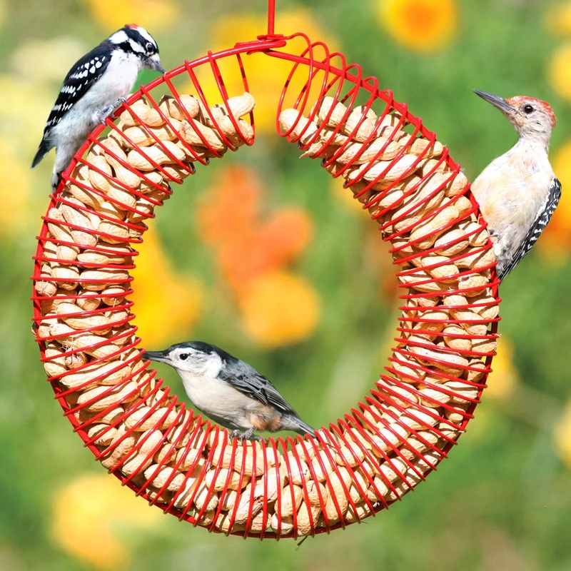 Red Whole Peanut Wreath
