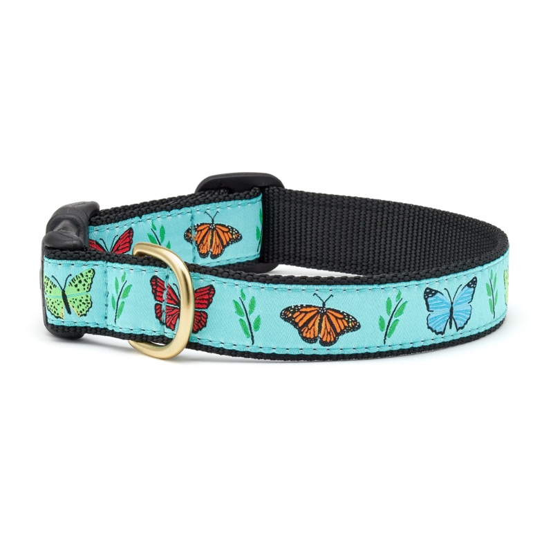UP COUNTRY Butterfly Effect Collar for Dogs, L, 1″x15″-21″