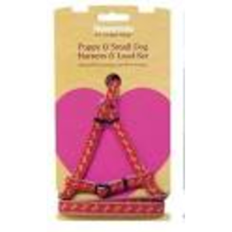 Wag N Walk Puppy Harness & Lead