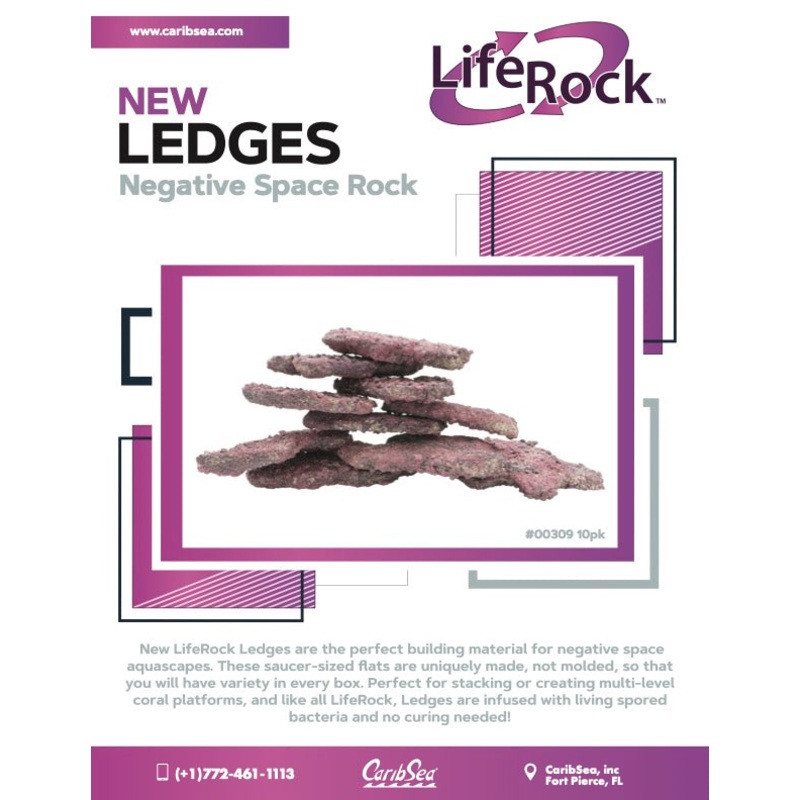 LifeRock Ledges 10 pk