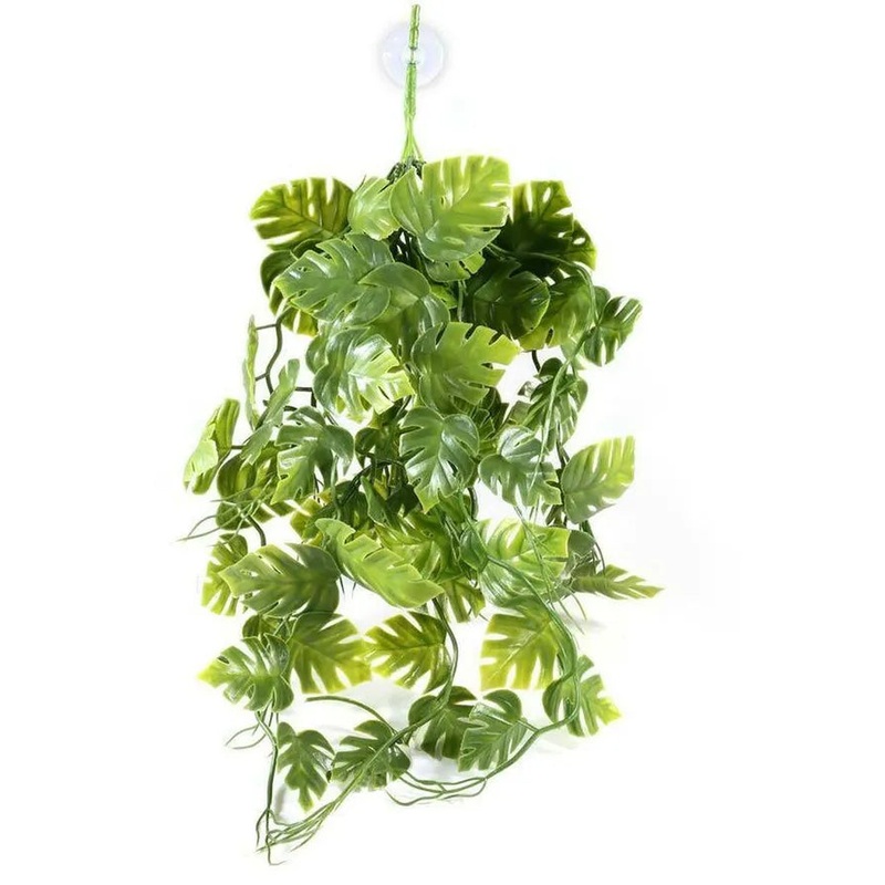 Pangea Green Plant