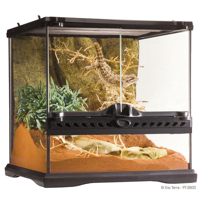 Exo Terra Glass Terrarium (30cm Wide) Mini – COLLECTION ONLY 30x30x30cm