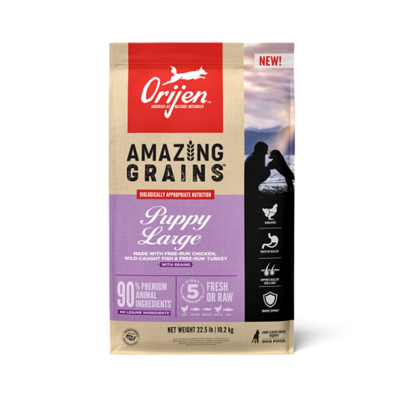 ORIJEN High Protein Amazing Grains Large Breed Puppy Dry Dog Food