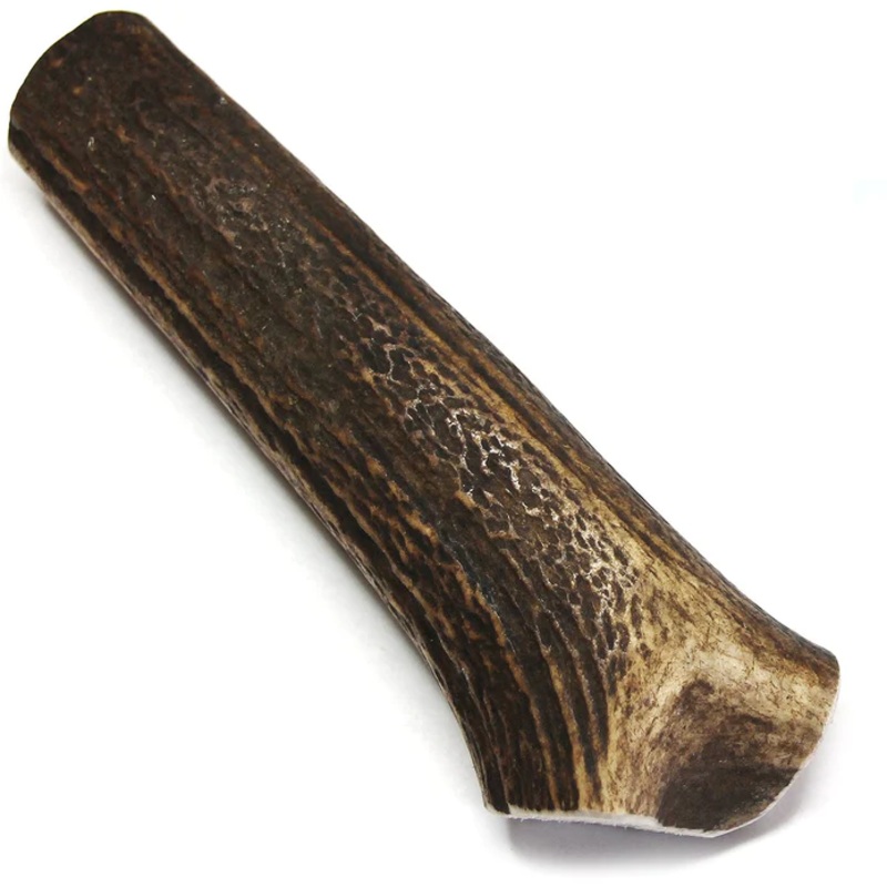 Tuesday’s Natural Dog Company Royal Brown Deer Whole Antler – Medium