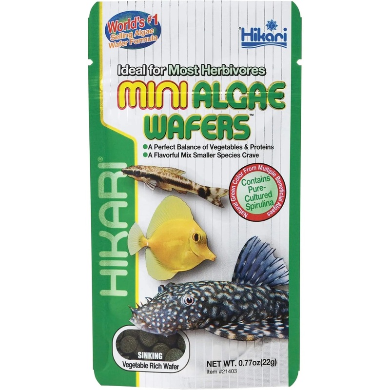 Hikari Mini Algae Wafers | Tropical Fish Food 22g