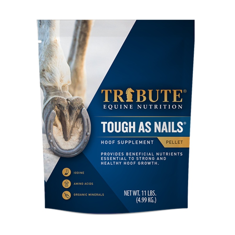 Tribute Tough As Nails 11 lbs