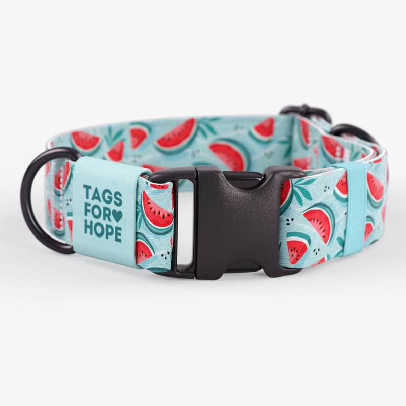 Watermelon Sugar Collar | Tags For Hope XXS