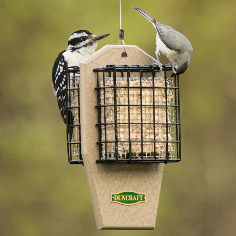 Duncraft Eco-Strong Double Suet Shield Feeder