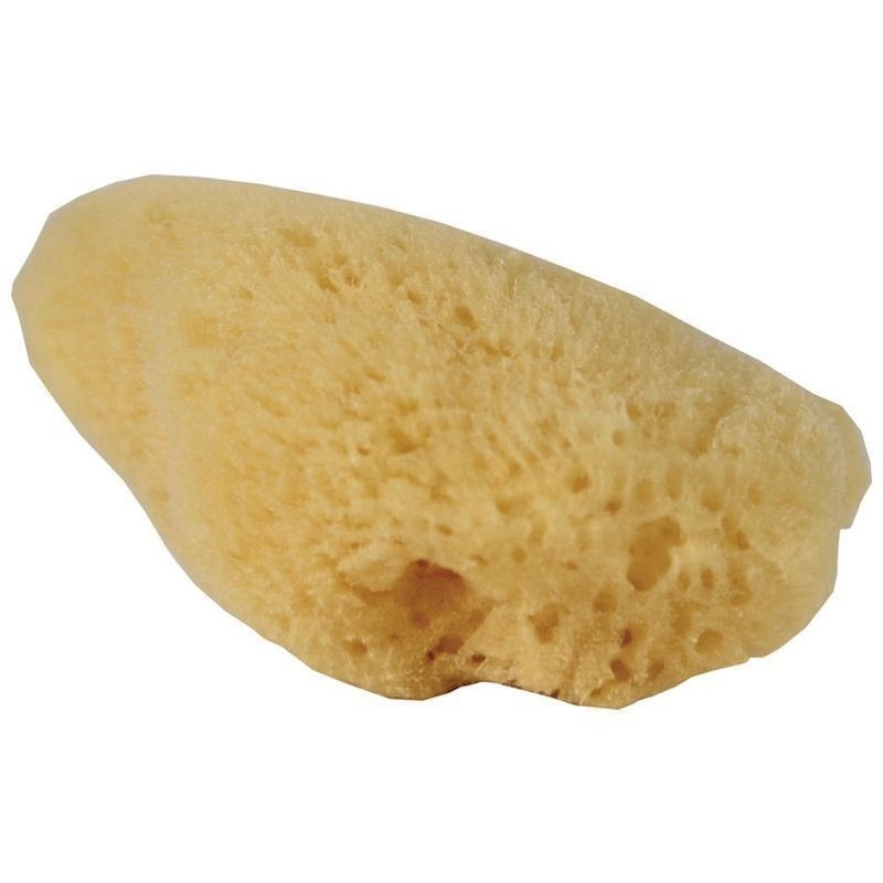 Fluker’s Natural Sea Sponge for Hermit Crabs