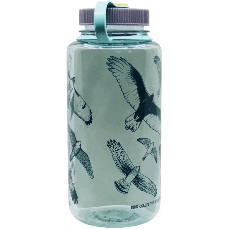 Hawks in Flight Nalgene Water Bottle, Seafoam