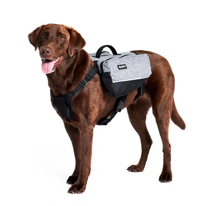 Adventure Backpack (Graphite) | Zippy Paws S