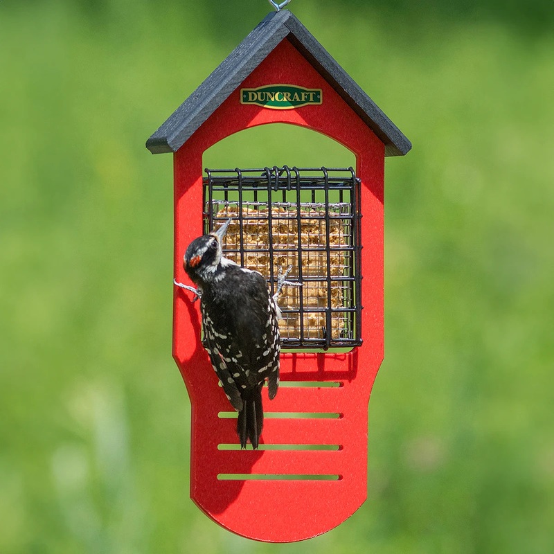 Double Sided Tail Prop Suet Shield Feeder