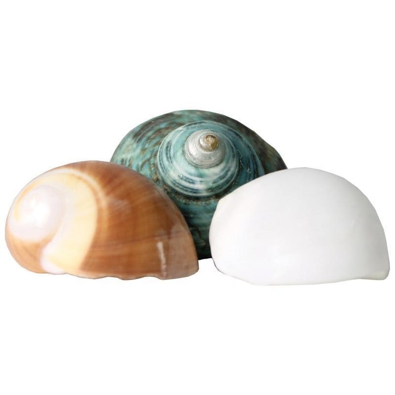 Fluker’s Hermit Crab Growth Shells Medium – Bulk