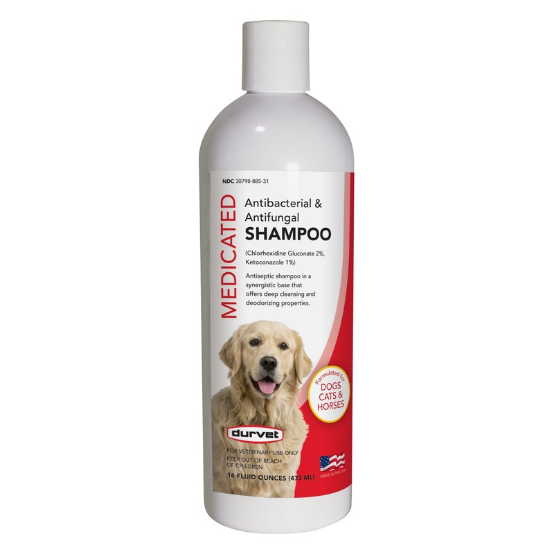 Durvet Medicated Antibacterial and Antifungal Shampoo 16 Oz