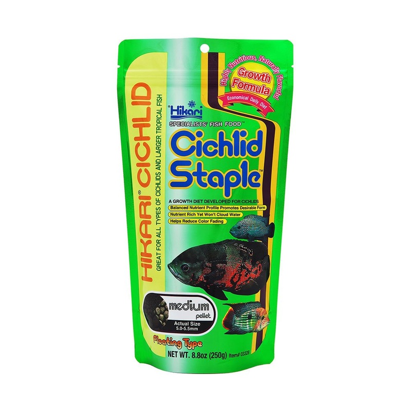 Hikari Cichlid Staple Pellet for Fish Medium 2 oz
