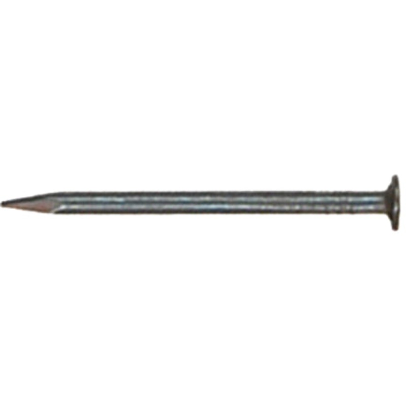 NAIL 1-1/2 EG ROOF 1 LB