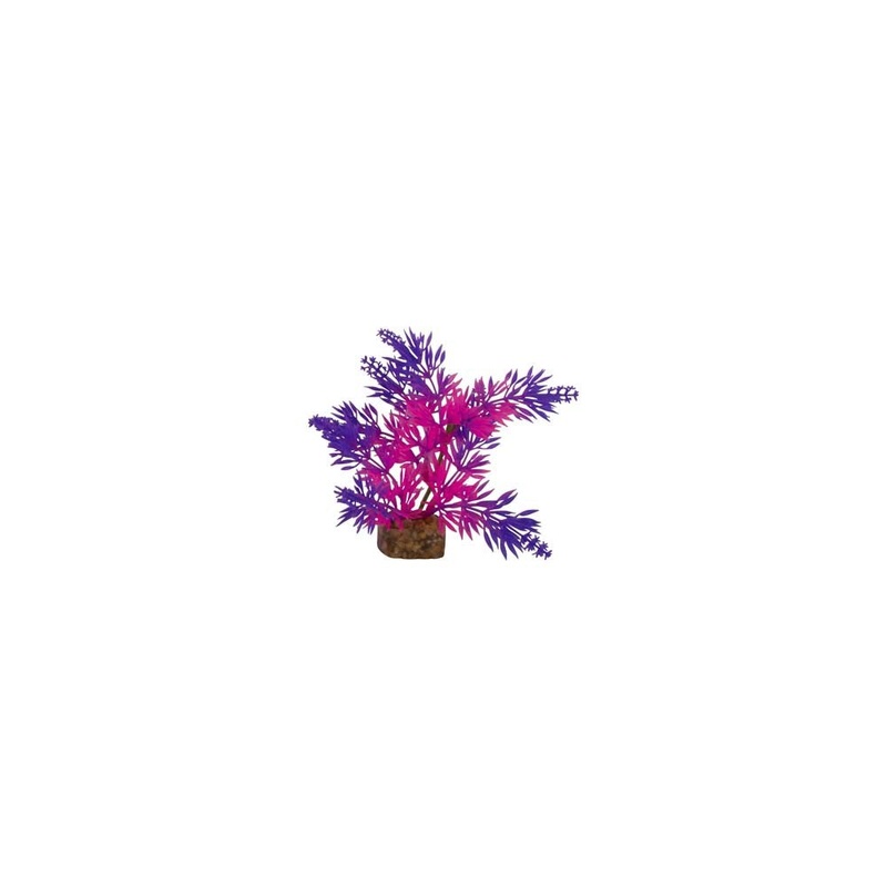 Tetra GloFish Plant Purple/Pink Small