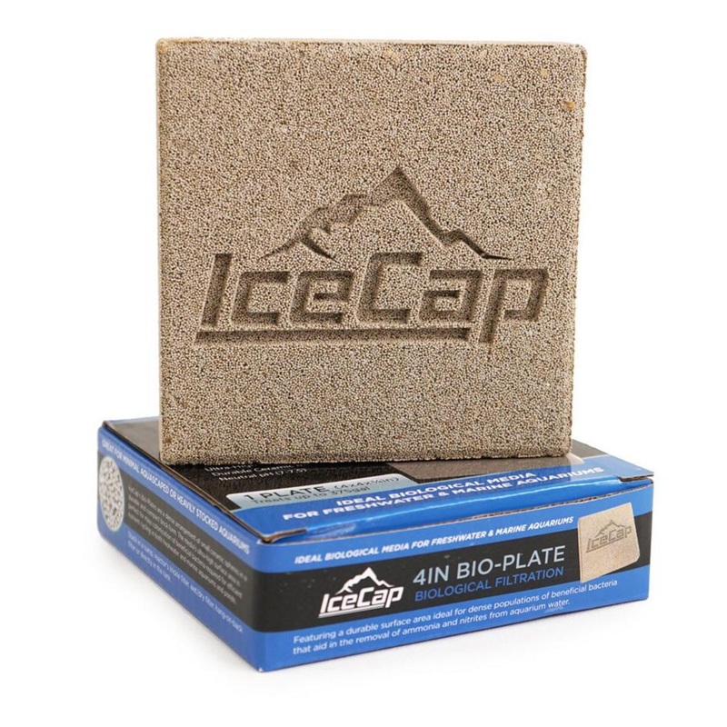 Icecap Bio-Plate 4″