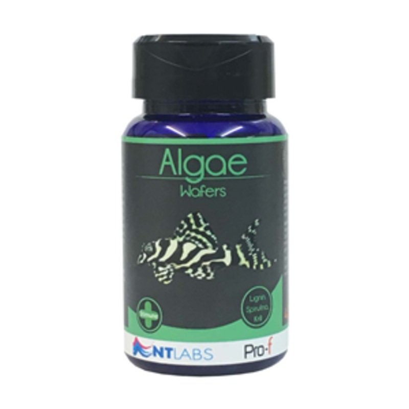 NT Labs Pro – F Algea Wafers 40G