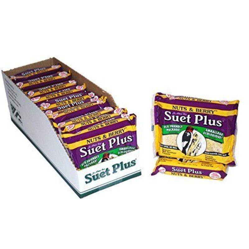 Suet Plus  Wild Bord Suet Cake 11oz Nuts and Berry