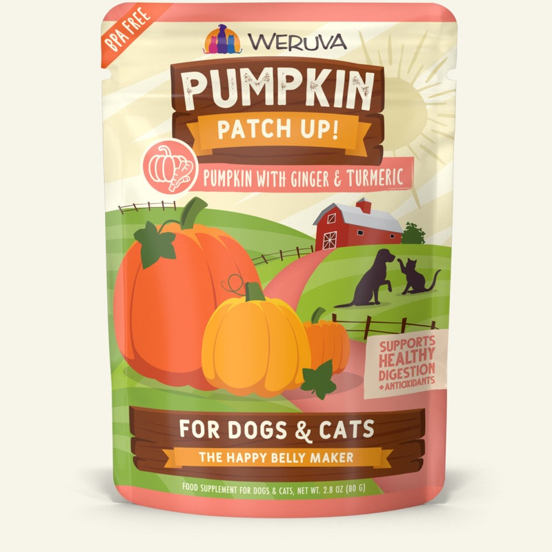 Weruva Pumpkin Patch Up! Pumpkin with Ginger & Turmeric Wet Dog and Cat Food 2.8oz