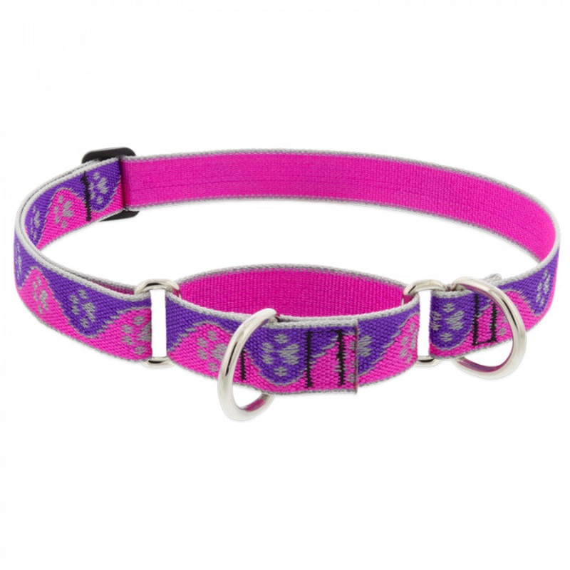 Lupine Dog Collar Martingale 1″ Wide X 19″-27″ Neck Size Pink Paws