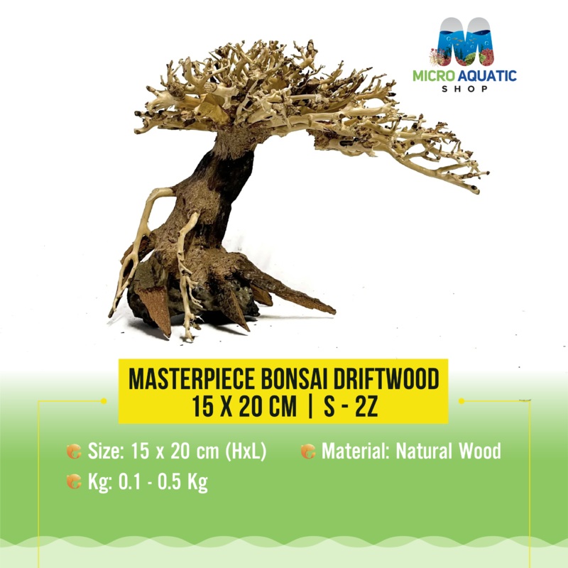 Masterpiece Bonsai Driftwood – 15 x 20 cm | S – 2z
