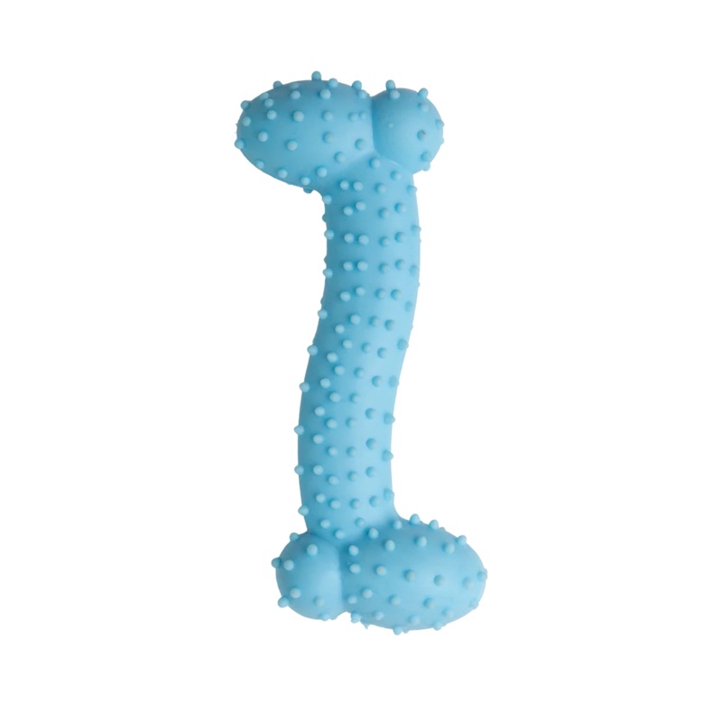 Snugarooz Lil Baby Bone Dog Toy 4.25″ Blue