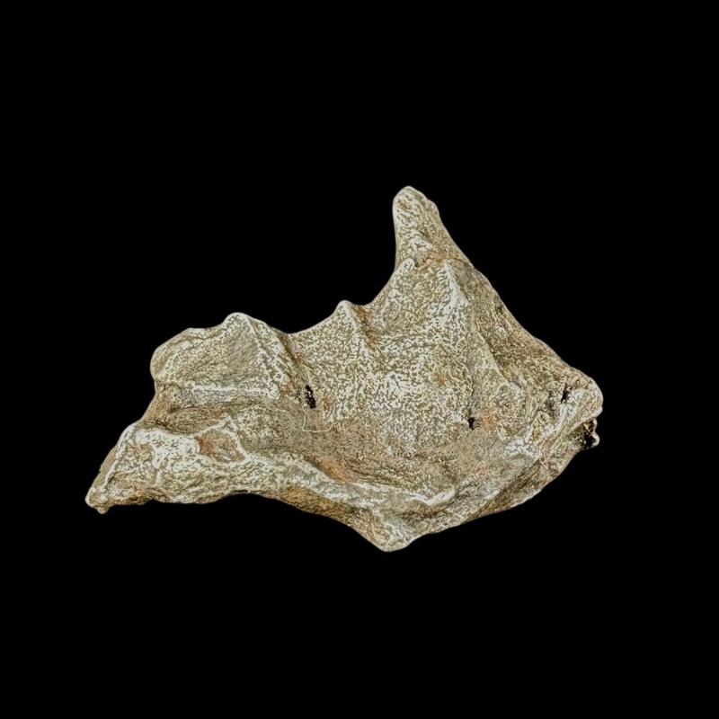 Meteorite – Sikhote-Alin – Octahedrite