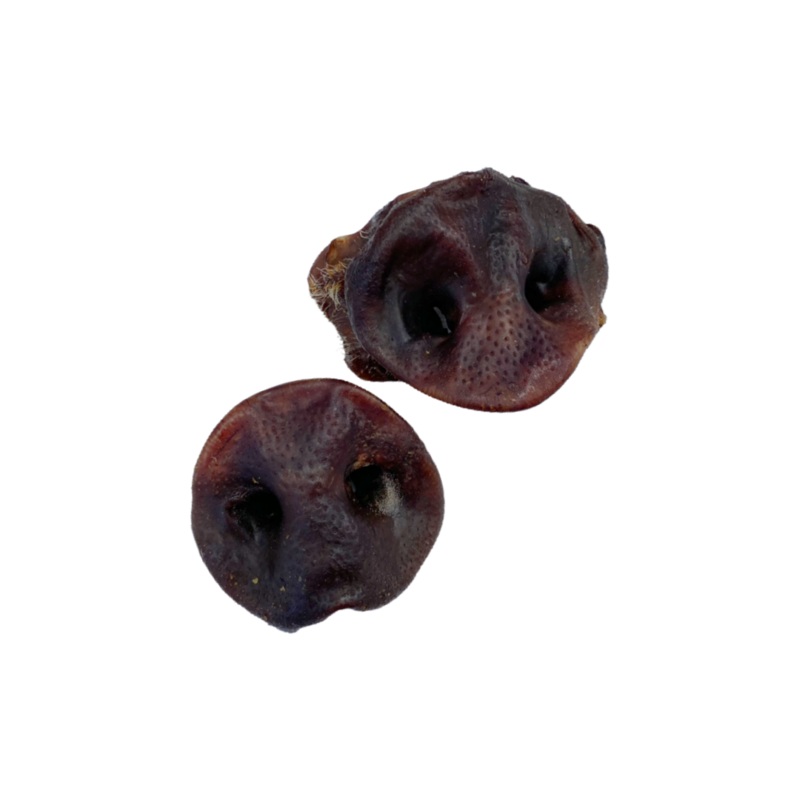 Pig Snout 500g