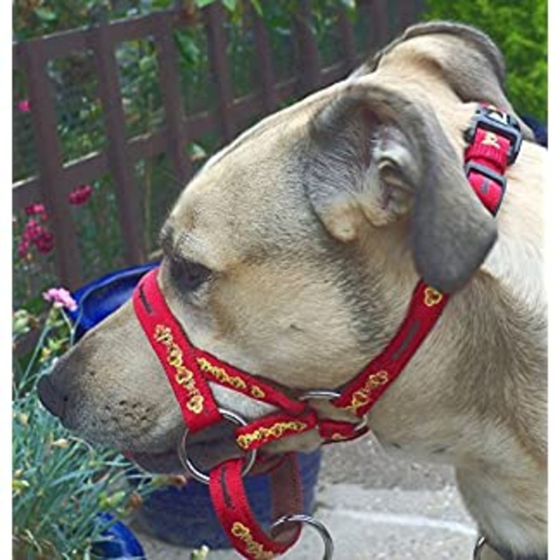 Padded Dogmatic Headcollar Size 4 Red