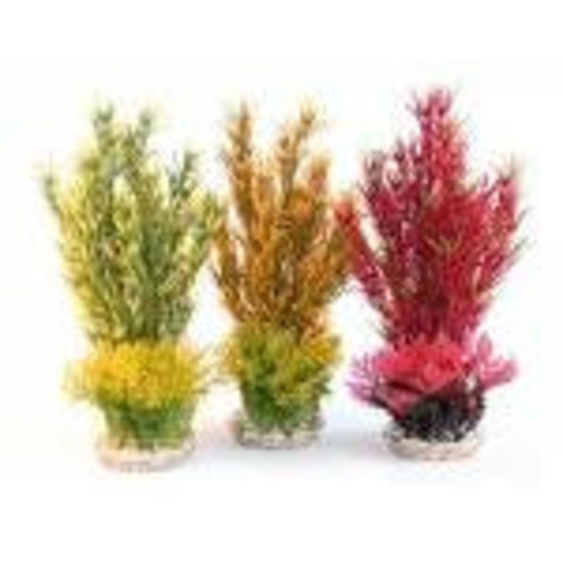 Rosewood Assorted Plants Ornament