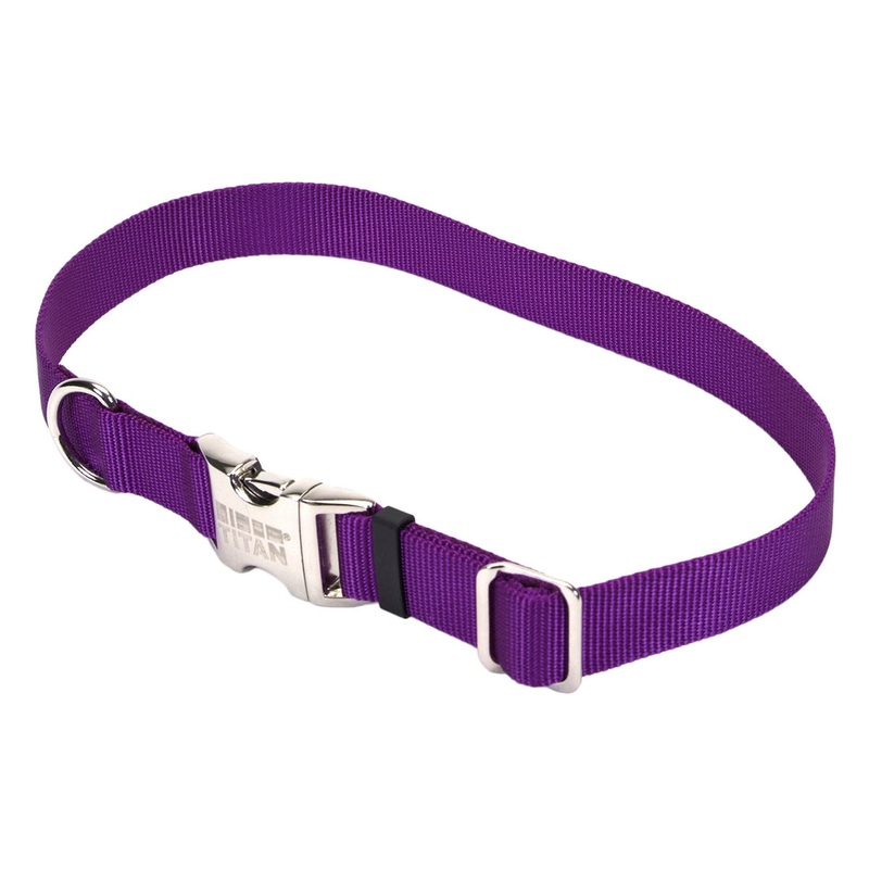 Coastal Adjustable Nylon Collar with Metal Buckle Large Purple Large Purple