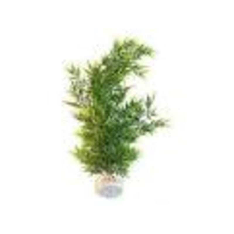 Sydeco Natural Plants Bamboo Flexible Xl 55cm