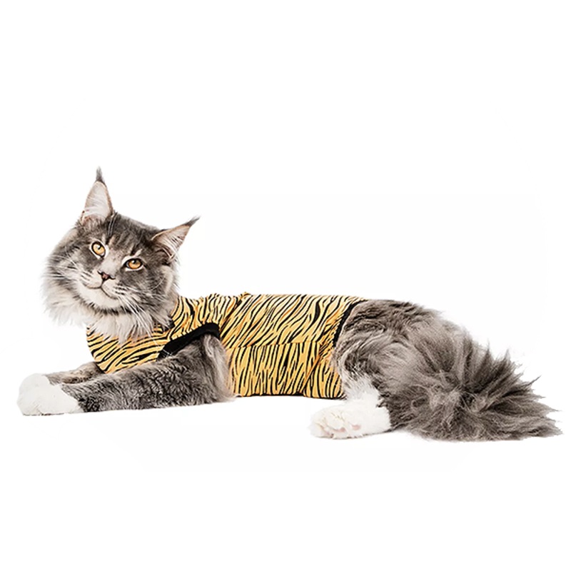 Wearable Full Body Recovery Suit for Cats Orange Tiger Small