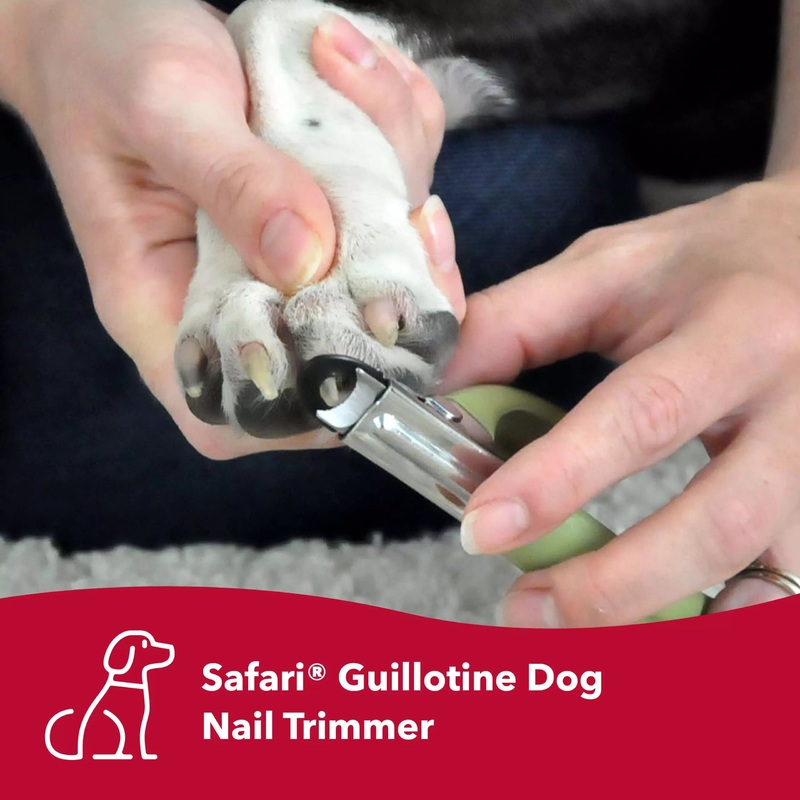 Safari by Coastal Guillotine Dog Nail Trimmer – Small